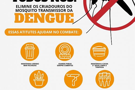 Todos contra a dengue.